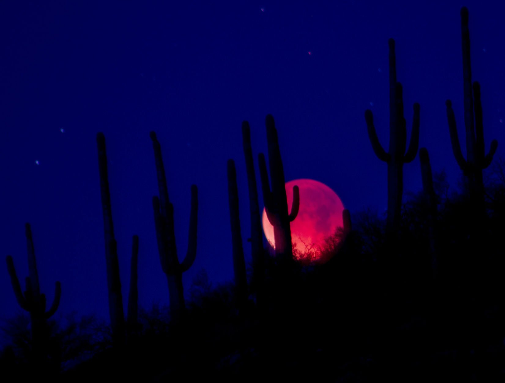 Lunar eclipse